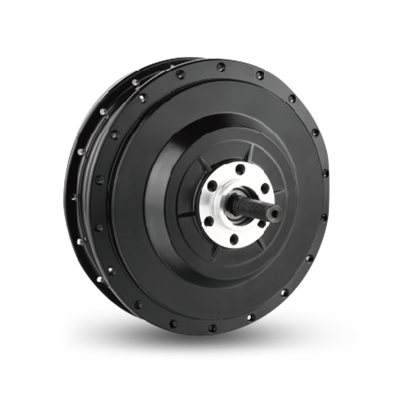 Motor butuc spate RF500 de tip E