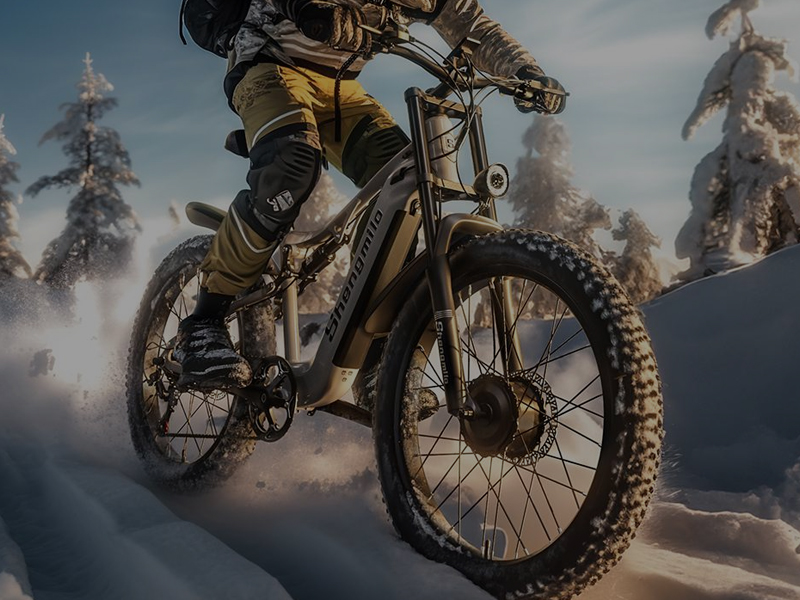 Ningbo Yinzhou HENTACH Electromechanical Co., Ltd.